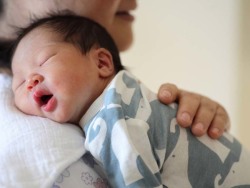 卵子凍結保存